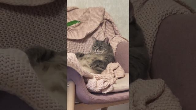 action_reasonaction_reasonaction_reasonaction_reasonaction_reasonaction_reasonaction_reasonaction_reasonaction_reasonaction_reasonaction_reasonaction_