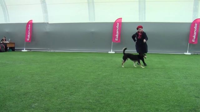 Открытый-Фристайл - Ширяева Мария и метис Марго