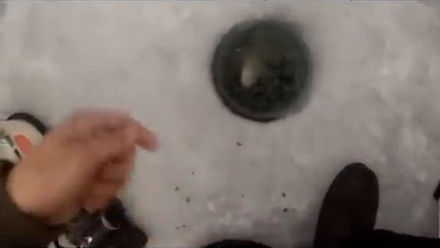 Подлёдная рыбалка возле Якутска смотреть онлайн
