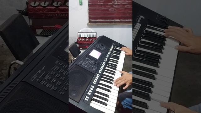Danadim dos teclados tocando solo milonga смотреть онлайн