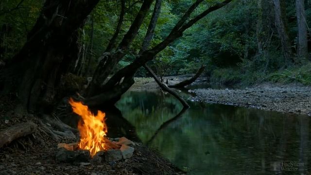 Подкормка рассады помидор после пикировки народными средствами смотреть онлайн