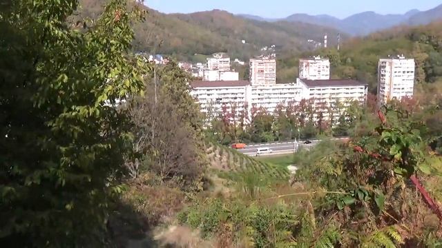 Гастрономический Квест