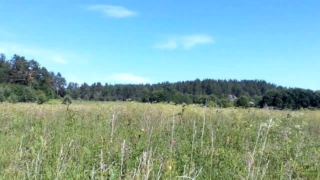 Земельный участок 15,4 га в Асилан смотреть онлайн