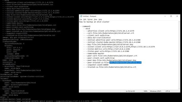 Kubernetes Tutorials | Kubernetes ETCD Backup and Validate and How it works | Cloud learn hub. смотреть онлайн