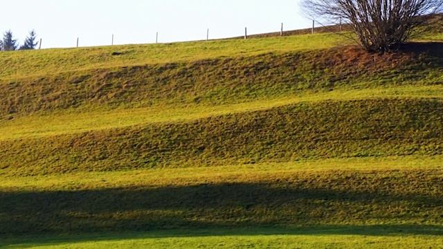 Библейские чтения Великого поста и Святые дня. Седмица 1-я Великого поста. (16.03.2021) смотреть онлайн