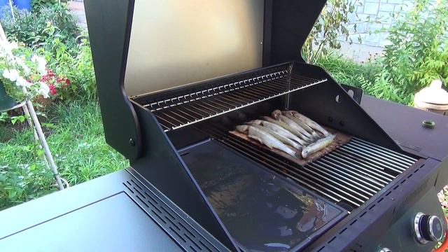 КОРЮШКА НА ГАЗОВОМ ГРИЛЕ PRIMELINER! ТРИ СПОСОБА: ПЛАНЧА, РЕШЕТКА, НА КЕДРОВОЙ ДОСКЕ!) смотреть онлайн