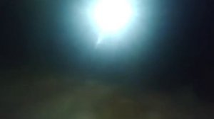 Поведения золотых рыбок в аквариуме