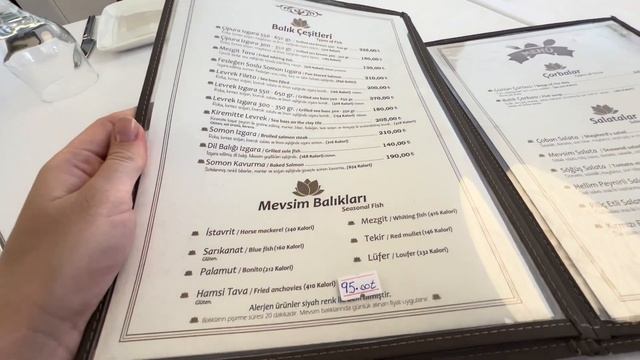 Мужа побью(т), если скажет это / Турецкая больница / Где вкусно и дешево поесть в Стамбуле Turkey смотреть онлайн