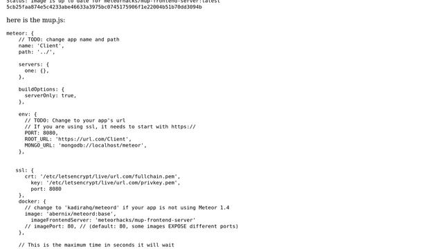 DevOps & SysAdmins: Meteor: Docker container error after SSL setup in mup смотреть онлайн