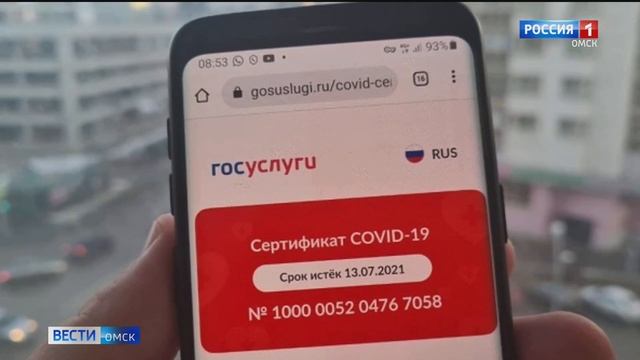 Власти прокомментировали сбой в программе Госуслуг смотреть онлайн