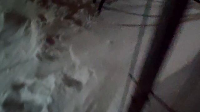 Жизнь собаки доберман по кличке "Принц" в зиму при -7 смотреть онлайн