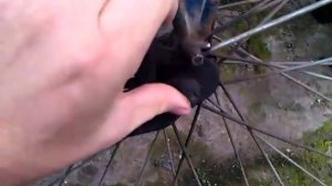 Как подтянуть цепь на велосипеде.