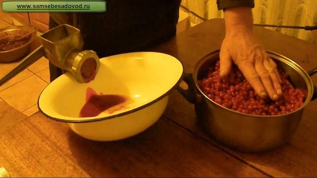 Готовим сок и варение из калины смотреть онлайн