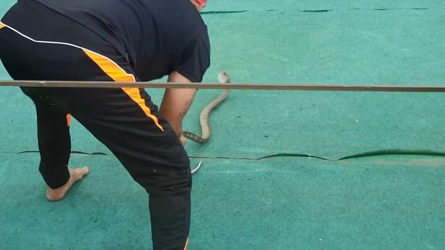 Творческий Путь к Успеху