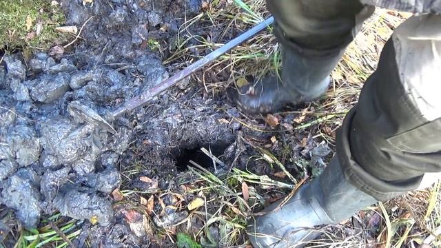 Нашёл никем не тронутую россыпь ЗОЛОТА!!! #3 Кварц с рутилом!!! смотреть онлайн