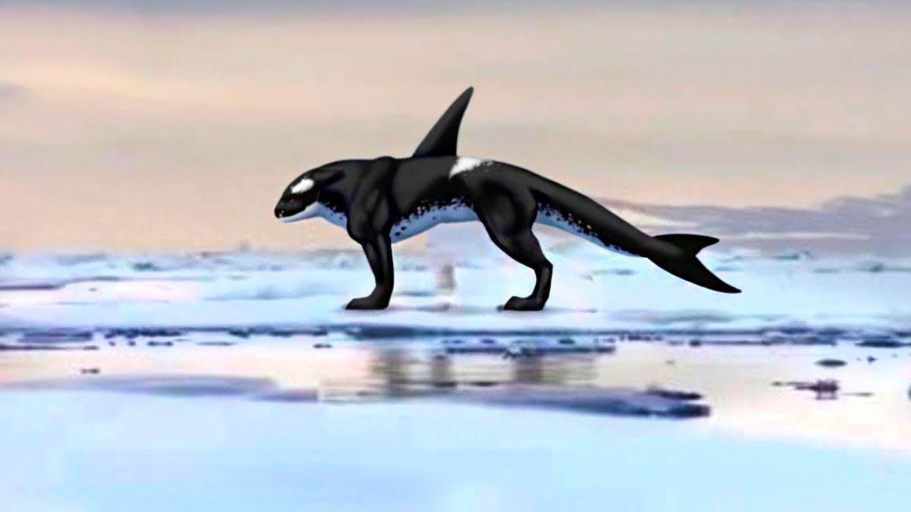 Эти Удивительные Гибриды Животных Побили Все Рекорды смотреть онлайн