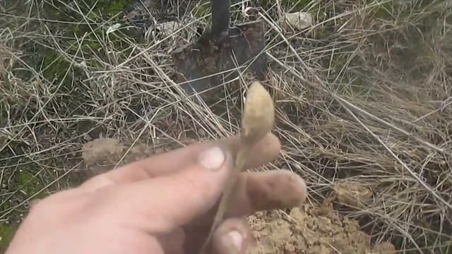 коп 2. Поездка в жилую деревню!