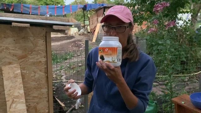 #7 ДОМ В ДЕРЕВНЕ / Достроили дом для птиц. Угощаем уток арбузом и дыней.