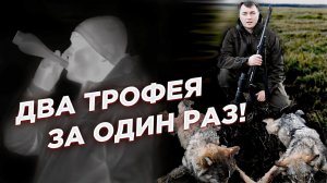 Охота на ВОЛКОВ с тепловизором Yukon Nordforce!