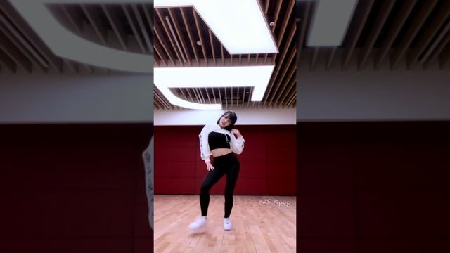 Twice I can't stop me - Momo Dance Tutorial (Mirrored) смотреть онлайн