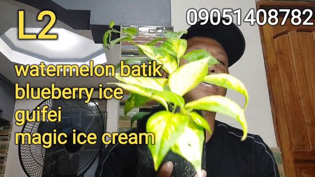 SATURDAY SALE MARCH 18, 2023 LIVE SELLING RARE TO SUPER TOP RARE смотреть онлайн