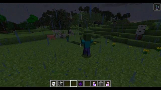 СТАЛ ХЕРОБРИНОМ И ЗАТРОЛЛИЛ НИКИТУ НА СТАРОЙ ВЕРСИИ (на своей версии)МАЙНКРАФТА 100% троллинг смотреть онлайн