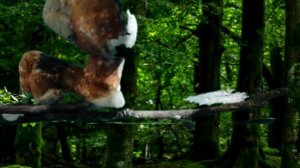 LPS; Коты воители Месть Кленовницы 9 серия