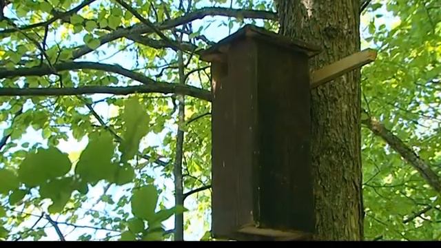 Экология и МЫ 25 05.2016 смотреть онлайн