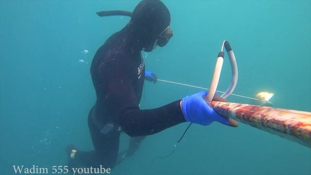 Подводная охота.За горбылем.Черное море.Видео сезон 2017 смотреть онлайн