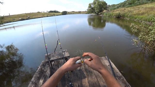 РЫБАЛКА на ПОПЛАВОК.Ловля карася на поплавок!Рыбалка на карася на поплавочную удочку! смотреть онлайн
