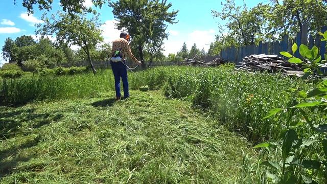 КАПИТАЛЬНЫЙ ТЕСТ ТРИММЕРА DGM BC-241 НА ВЫСОКОЙ ТРАВЕ [Леска + Металлический нож] смотреть онлайн