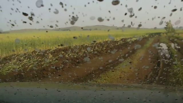 Запись с видеорегистратора. Едем за грибами смотреть онлайн