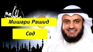 Мишари Рашид Сура | Сад |
