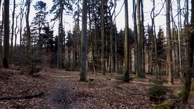 Десять стихов для... Часть V- Лето [ ВИДЕО-КНИГА ] смотреть онлайн