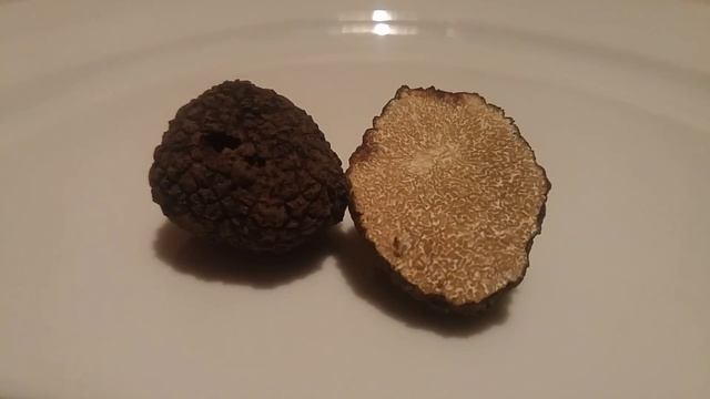 Trufla letnia (Tuber aestivum) Hajduszoboszlo смотреть онлайн