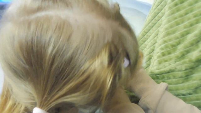 ПРОДАЮ #декоративногокролика САТИНОВОГО 02.06.23 #ЦЕНА 3,5 тр #куплюкроликапродаю +7 921 595 08 48 смотреть онлайн