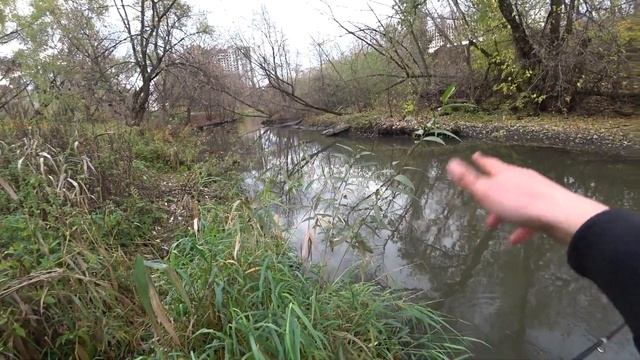 Бюджетная колебалка от Takara на практике. Осенняя прогулка со спиннингом по реке Яуза. смотреть онлайн