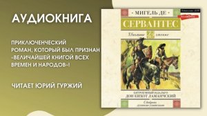 #Средапоклассике | Мигель де Сервантес «Хитроумный идальго Дон Кихот Ламанчский»
