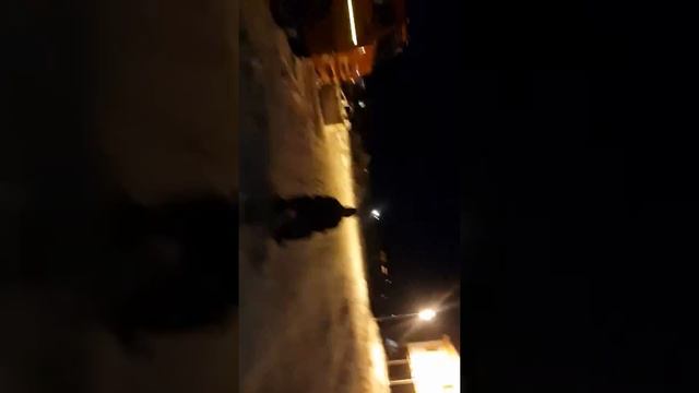 ЗФИ арктика смотреть онлайн