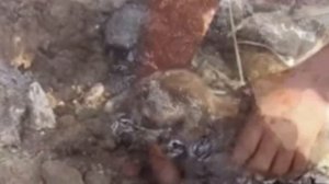 Маленький щенки плакали как дети ,все из-за того что попади в смолу ,скулили и хотели жить !