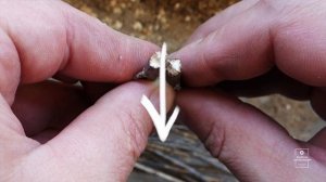 Как сделать садовый измельчтель веток из УШМ (болгарки) самостоятельно.mp4