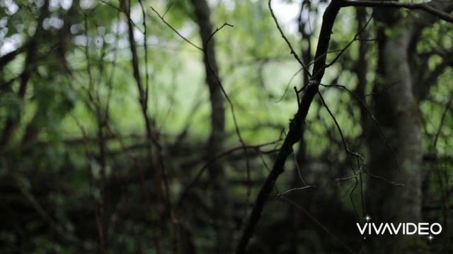Музыка для медитации.Борьба со стрессом.Полное восстановление. смотреть онлайн