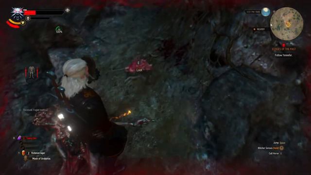 The Witcher 3 Wild Hunt Walkthrough - Echoes of the Past смотреть онлайн