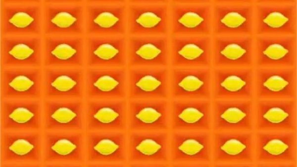 Starlight 4 класс. Module 6. Yumville. Старлайт 4 класс. Модуль 6. Ямвилл