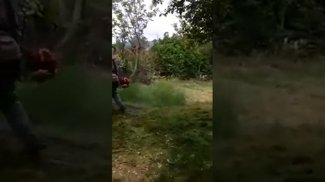 Köy 04.06.2021 Evin önündeki otların temizlenmesi смотреть онлайн