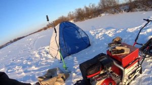 FORZA 6.5    мотобуксировщик форза 2 часть