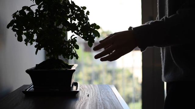 why your morning routine isn't working смотреть онлайн