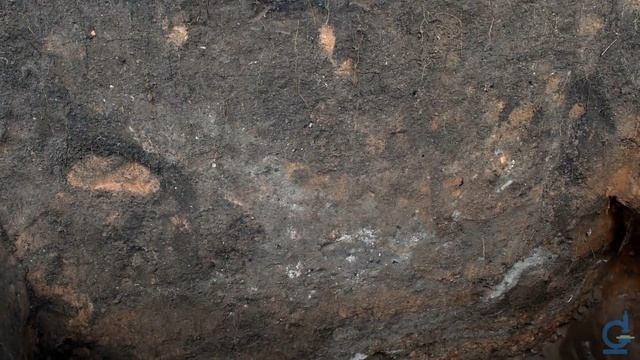 Археологические раскопки // Научный видеоблог #подстеклом