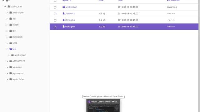 VB.Net / C# Version Control System (php api) смотреть онлайн
