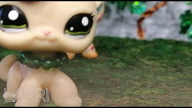 Lps collab: ведьм у нас сжигают// shank you L A R R I смотреть онлайн